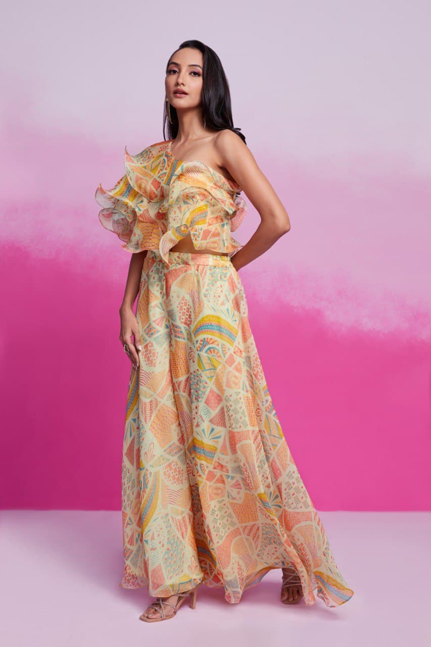 Roohani Raag Designer Organza Dress