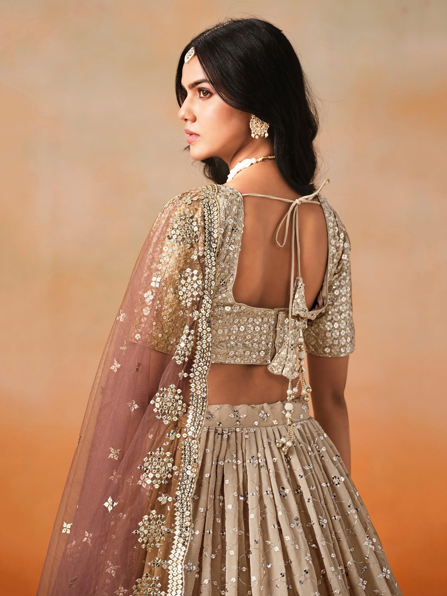Meher Melody Georgette Lehenga